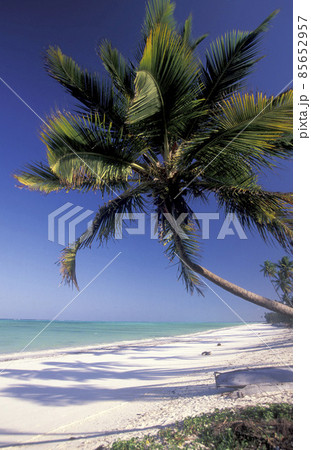 ZANZIBAR BWEJUU EASTCOAST LANDSCAPE ZANZIBAR BWEJUU EASTCOAST LANDSCAPE 85652957