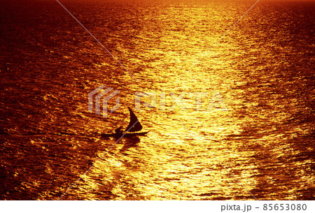 ZANZIBAR STONE TOWN DHONI 85653080