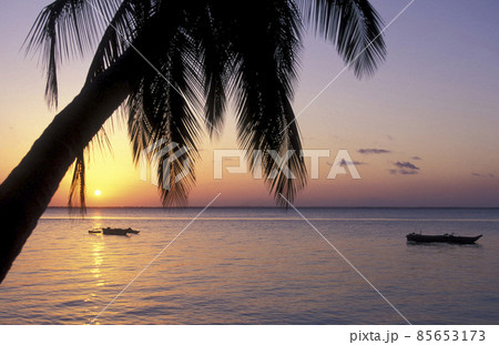 ZANZIBAR BWEJUU EASTCOAST LANDSCAPE 85653173