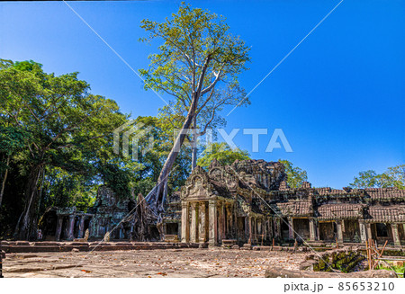 Picture of jungle trees overgrowing the ruins of Angkor Wat in Cambodia in summer Picture of jungle trees overgrowing the ruins of Angkor Wat in Cambodia in summer 85653210