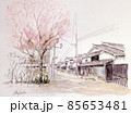 桜のお花見でにぎわう丹波篠山 85653481