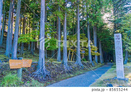 (埼玉県)三峰神社 奥宮参道 (埼玉県)三峰神社 奥宮参道 85655244