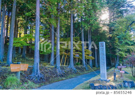 (埼玉県)三峰神社 奥宮参道 (埼玉県)三峰神社 奥宮参道 85655246