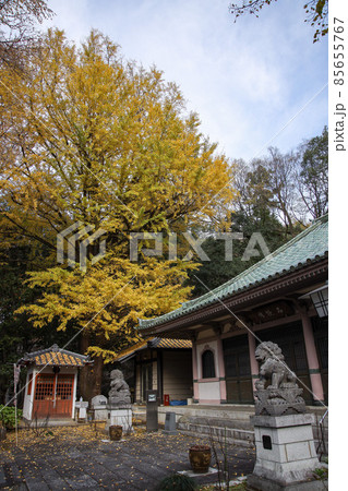 大祥山長林寺 85655767