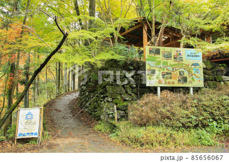 愛媛県東温市　秋の滑川渓谷　入口 85656067