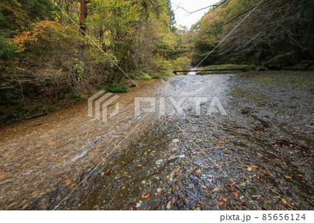 愛媛県東温市 秋の滑川渓谷 愛媛県東温市 秋の滑川渓谷 85656124