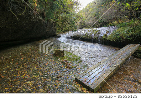 愛媛県東温市　秋の滑川渓谷 85656125