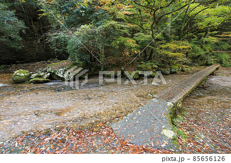 愛媛県東温市　秋の滑川渓谷 85656126