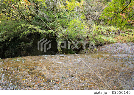 愛媛県東温市 秋の滑川渓谷 愛媛県東温市 秋の滑川渓谷 85656146