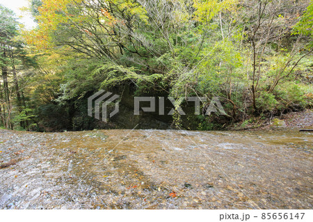 愛媛県東温市　秋の滑川渓谷 85656147