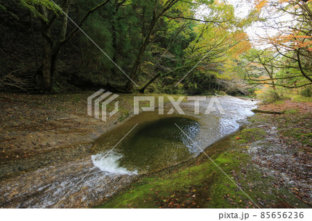 愛媛県東温市　秋の滑川渓谷 85656236