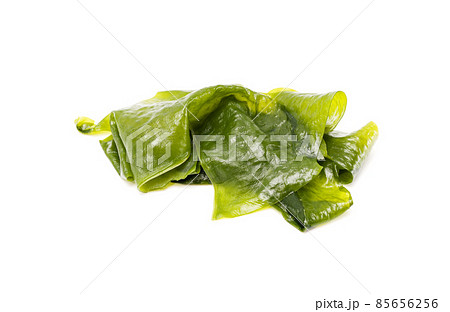 Fresh seaweed wakame isolated on white background. Copy space. Japanese food Fresh seaweed wakame isolated on white background. Copy space. Japanese food 85656256