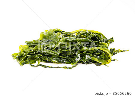 Fresh seaweed wakame isolated on white background. Copy space. Japanese food Fresh seaweed wakame isolated on white background. Copy space. Japanese food 85656260