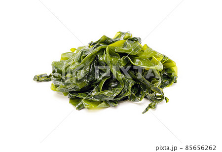 Fresh seaweed wakame isolated on white background. Copy space. Japanese food Fresh seaweed wakame isolated on white background. Copy space. Japanese food 85656262