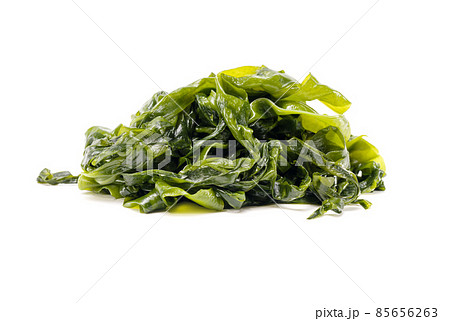 Fresh seaweed wakame isolated on white background. Copy space. Japanese food Fresh seaweed wakame isolated on white background. Copy space. Japanese food 85656263