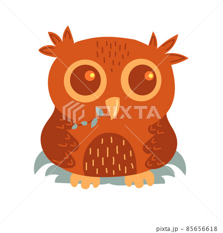Hand drawn owl Hand drawn owl 85656618