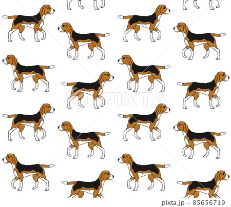 Vector seamless pattern of colored beagle 85656719