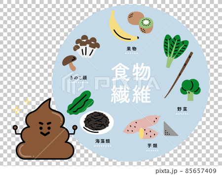 食物繊維を含む食べ物と 健康的なうんちのキャラクター 日本語ver のイラスト素材