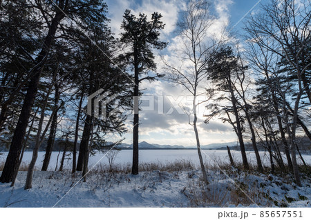 大沼国定公園_冬_大沼_木_樹木_雪_美しい_景観_名所 大沼国定公園_冬_大沼_木_樹木_雪_美しい_景観_名所 85657551