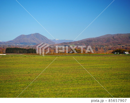 広々とした北海道の牧草地 広々とした北海道の牧草地 85657907