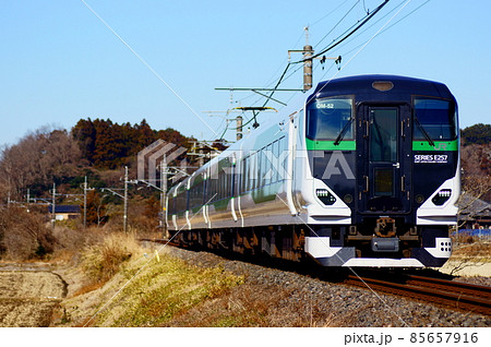 我孫子支線経由で運転される早春成田初詣号 85657916