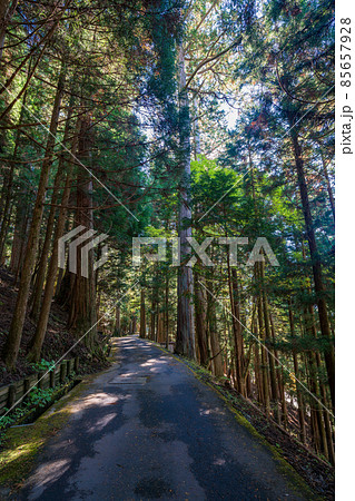 (埼玉県)秋の三峰神社 境内・参道 (埼玉県)秋の三峰神社 境内・参道 85657928