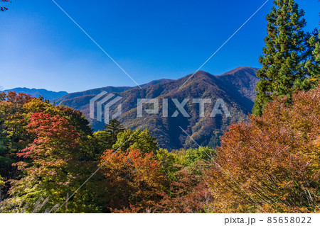 (埼玉県)紅葉に包まれた三峰神社から望む、秩父の山並み (埼玉県)紅葉に包まれた三峰神社から望む、秩父の山並み 85658022