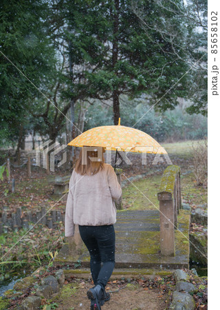 ゆきの降る中を黄色の傘をさして歩く女性 ゆきの降る中を黄色の傘をさして歩く女性 85658102
