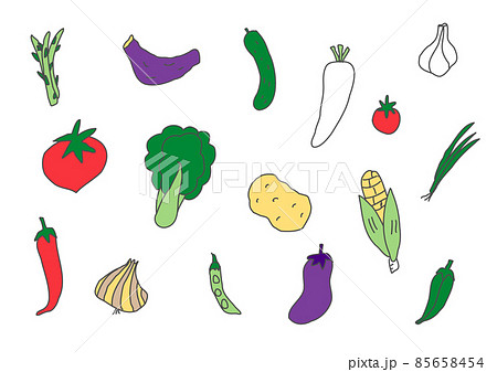 野菜の手描きイラストのセット 野菜の手描きイラストのセット 85658454