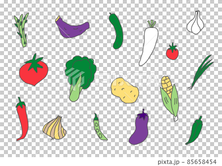 野菜の手描きイラストのセット 野菜の手描きイラストのセット 85658454