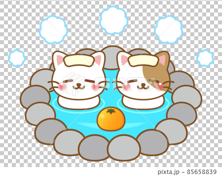 露天風呂に入るネコのイラスト素材 露天風呂に入るネコのイラスト素材 85658839