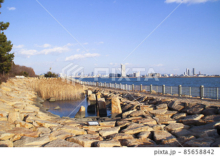 矢倉緑地／大阪府大阪市西淀川区西島2丁目 85658842