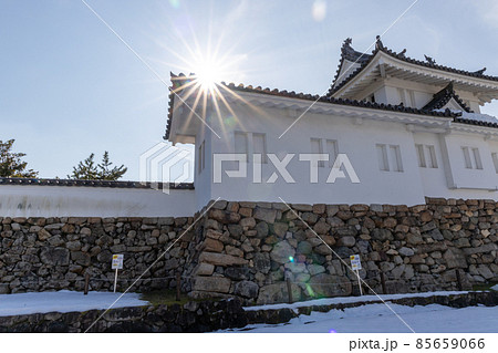 舞鶴公園(田辺城址) 舞鶴公園(田辺城址) 85659066