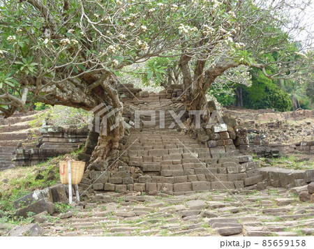 ラオス　ワット・プー 85659158