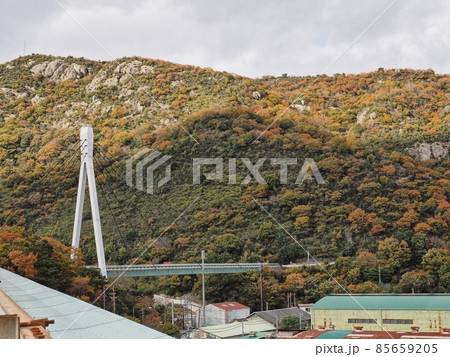 藤戸橋　兵庫県道568号相生壷根公園線の斜張橋 85659205