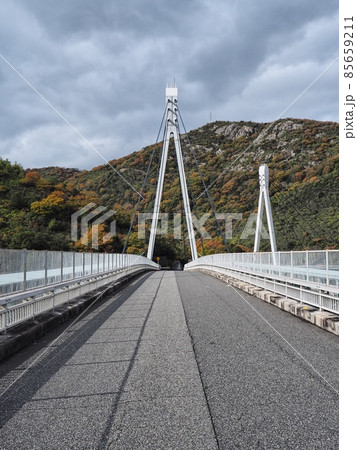 藤戸橋 日の浦橋 兵庫県道568号相生壷根公園線の斜張橋 藤戸橋 日の浦橋 兵庫県道568号相生壷根公園線の斜張橋 85659211