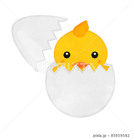 たまごから生まれたかわいいひよこのイラストのイラスト素材 [85659582