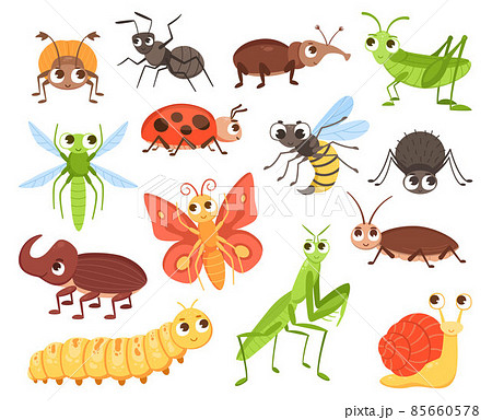 Cartoon insects. Cute bug characters. Crawling beetle or flying butterfly with big eyes for kids illustration. Grasshopper and ladybug. Entomology collection. Vector funny animals set Cartoon insects. Cute bug characters. Crawling beetle or flying butterfly with big eyes for kids illustration. Grasshopper and ladybug. Entomology collection. Vector funny animals set 85660578