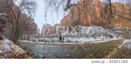 Panorama from Zion National Park in winter 85661168
