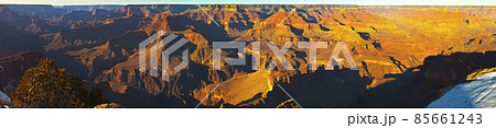 Panorama from the Grand Canyon south side in winter Panorama from the Grand Canyon south side in winter 85661243
