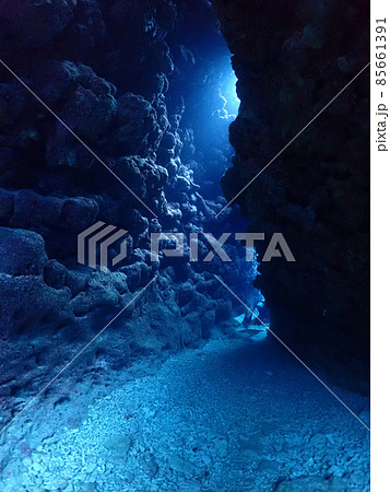 石垣島・美ら海海底の洞窟 85661391