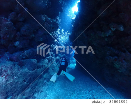 石垣島・美ら海海底の洞窟 85661392