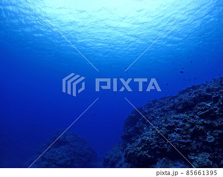 広がるサンゴの海底・石垣島 85661395