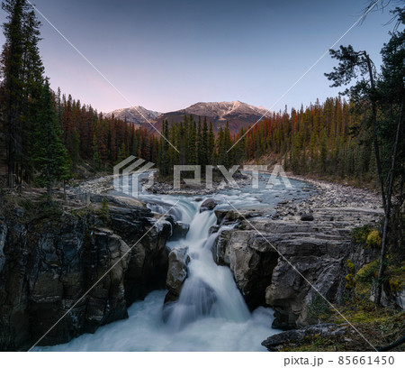 Sunwapta Falls is pair of the Sunwapta river in autumn forest at sunset Sunwapta Falls is pair of the Sunwapta river in autumn forest at sunset 85661450