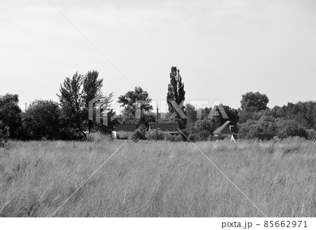 Beautiful horizon scenery in village meadow 85662971