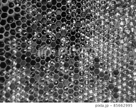 Drop of bee honey drip from hexagonal honeycombs Drop of bee honey drip from hexagonal honeycombs 85662995