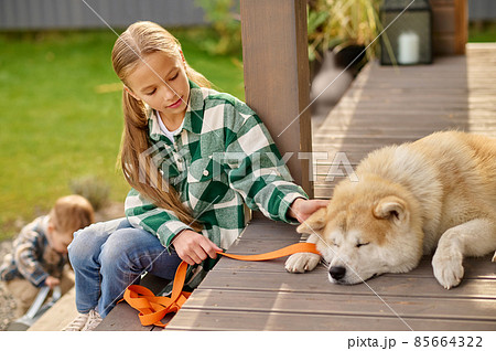 Girl sitting on porch looking touching lying dog 85664322