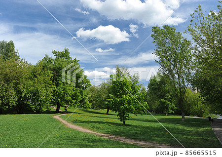 landscape with a green park and blue clouds on Izmailovsky island in Moscow 85665515