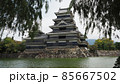 松本城と柳 85667502