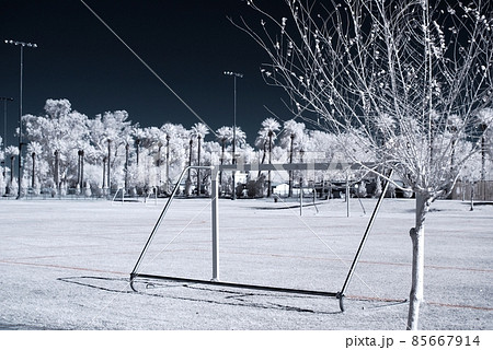Infrared Tree Infrared Tree 85667914